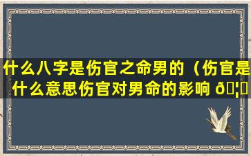 什么八字是伤官之命男的（伤官是什么意思伤官对男命的影响 🦈 ）